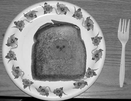 grilledcheesebw.jpg - 37140 Bytes